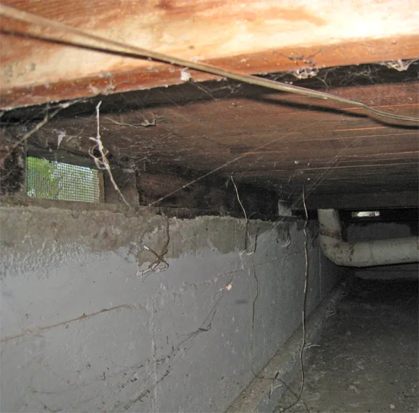 Crawlspace Water Removal in a Winston-Salem home