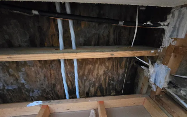 Roof Leak Water Damage in Winston-Salem, NC